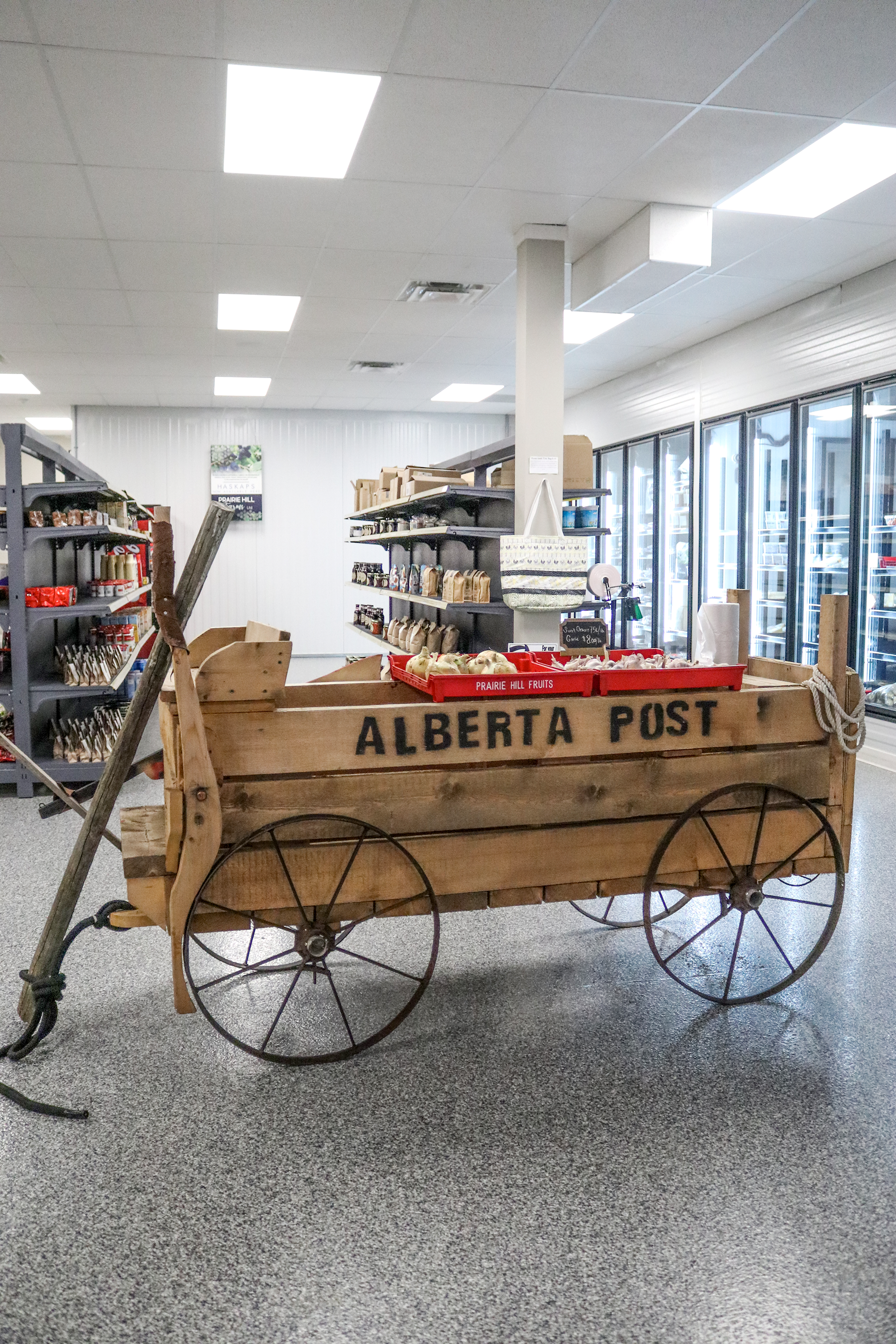 PHF- Retail Store Interior